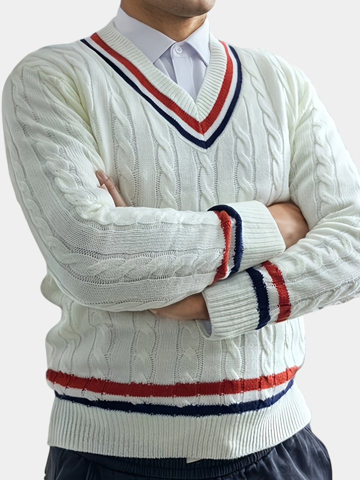 Men's Preppy V-Neck Regular Fit Sweater Polyester 1