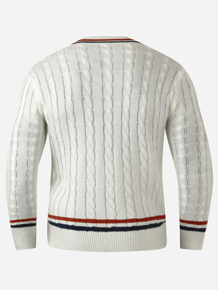 Men's Preppy V-Neck Regular Fit Sweater Polyester 8