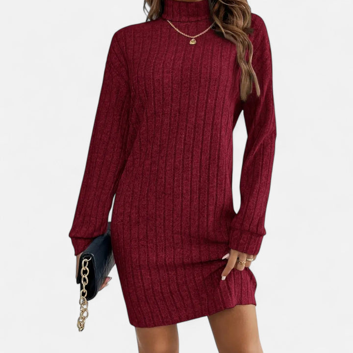 Womens Textured Turtleneck Long Sleeve Midi Winter Dress Knit 0