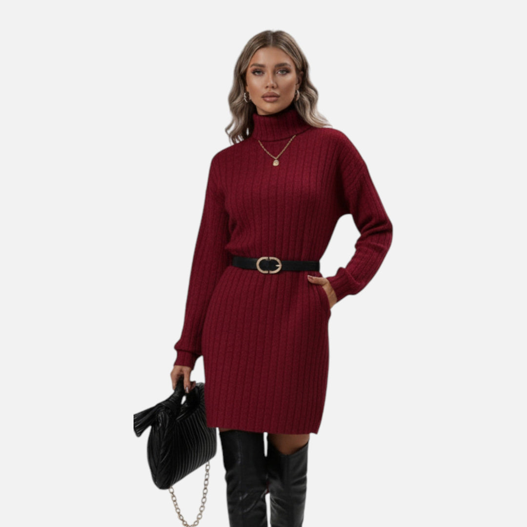 Womens Textured Turtleneck Long Sleeve Midi Winter Dress Knit 1