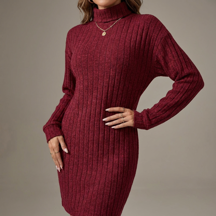 Womens Textured Turtleneck Long Sleeve Midi Winter Dress Knit 10