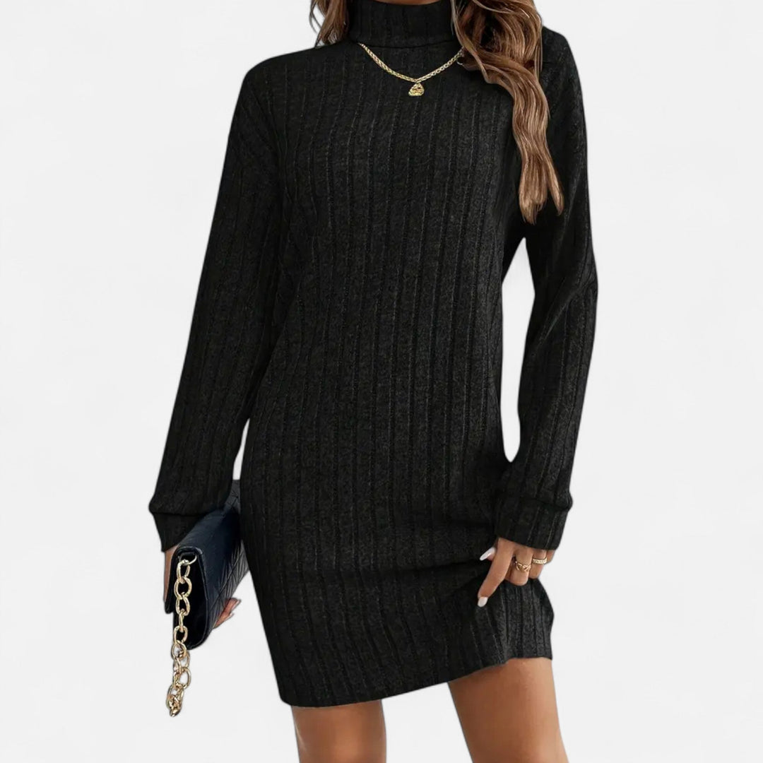 Womens Textured Turtleneck Long Sleeve Midi Winter Dress Knit 4
