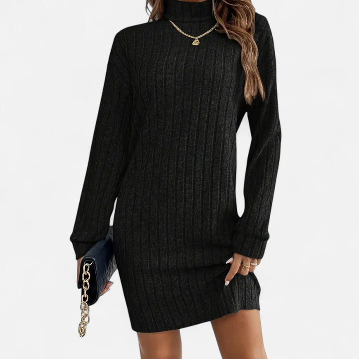 Womens Textured Turtleneck Long Sleeve Midi Winter Dress Knit 4