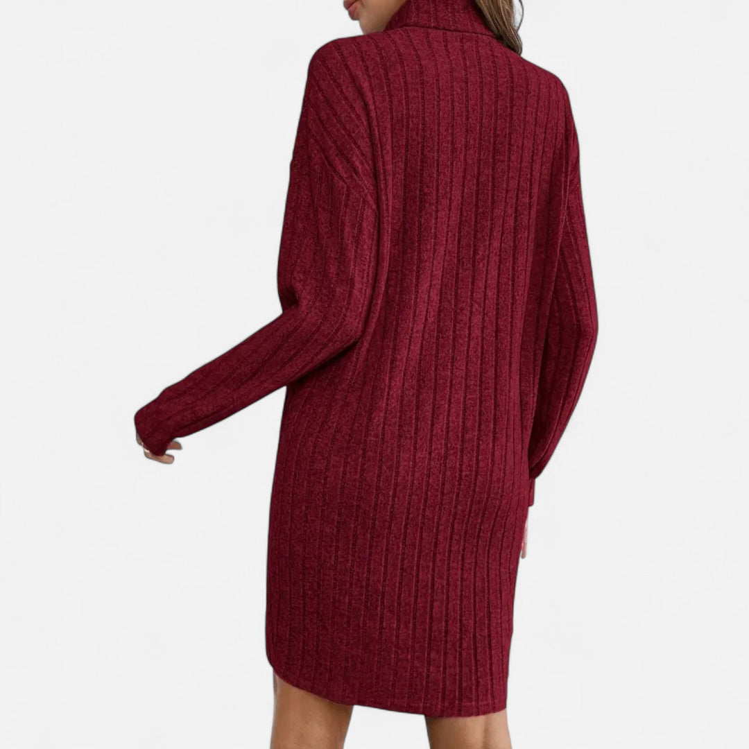 Womens Textured Turtleneck Long Sleeve Midi Winter Dress Knit 7
