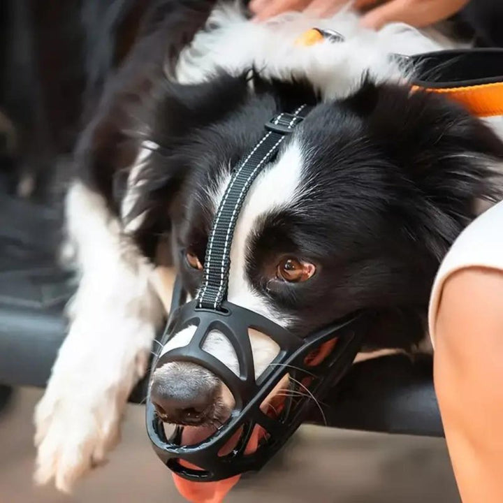 Soft Mesh Dog Muzzle – Breathable, Adjustable Muzzle to Prevent Biting and Chewing – for Walks, Training &amp; Vet Visits, S–XL