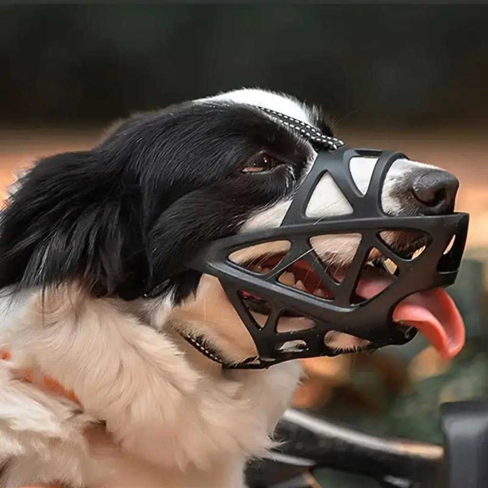Soft Mesh Dog Muzzle – Breathable, Adjustable Muzzle to Prevent Biting and Chewing – for Walks, Training &amp; Vet Visits, S–XL