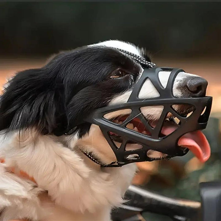 Soft Mesh Dog Muzzle – Breathable, Adjustable Muzzle to Prevent Biting and Chewing – for Walks, Training &amp; Vet Visits, S–XL