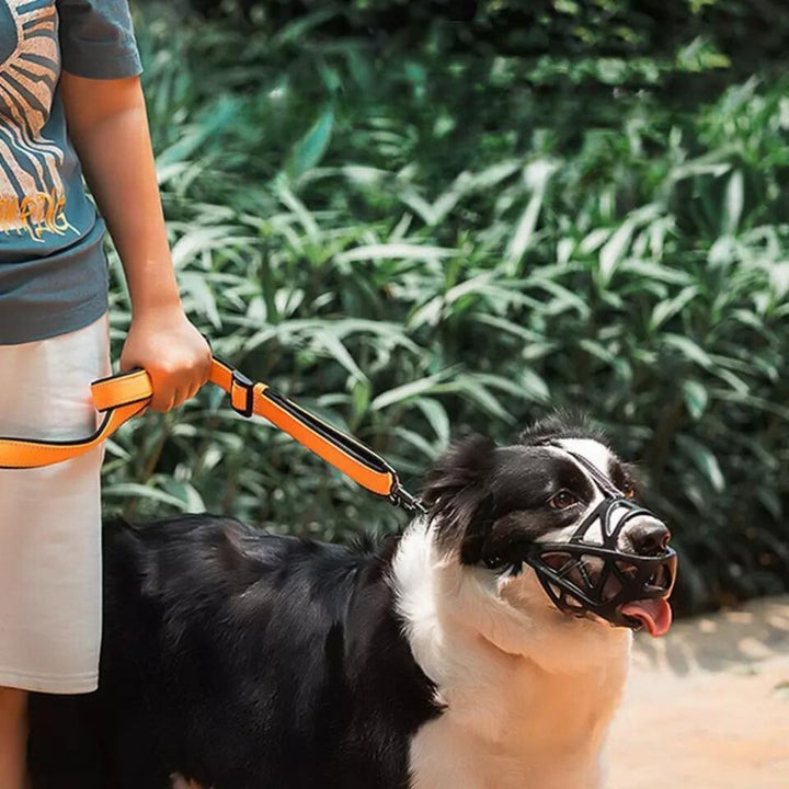 Soft Mesh Dog Muzzle – Breathable, Adjustable Muzzle to Prevent Biting and Chewing – for Walks, Training &amp; Vet Visits, S–XL
