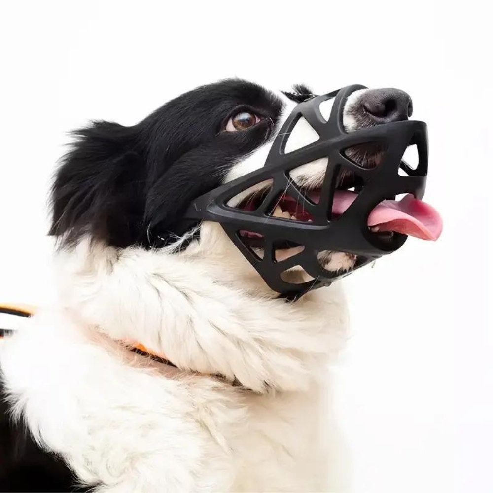 Soft Mesh Dog Muzzle – Breathable, Adjustable Muzzle to Prevent Biting and Chewing – for Walks, Training &amp; Vet Visits, S–XL