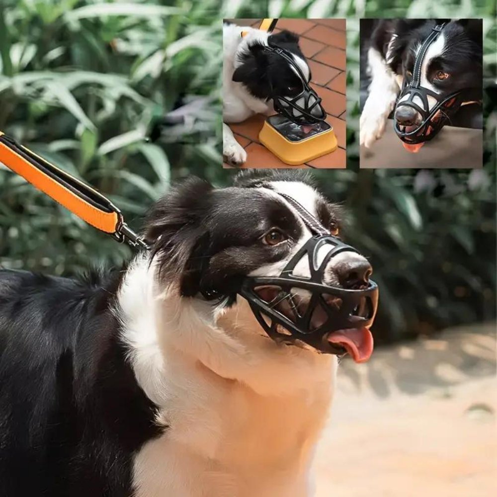 Soft Mesh Dog Muzzle – Breathable, Adjustable Muzzle to Prevent Biting and Chewing – for Walks, Training &amp; Vet Visits, S–XL