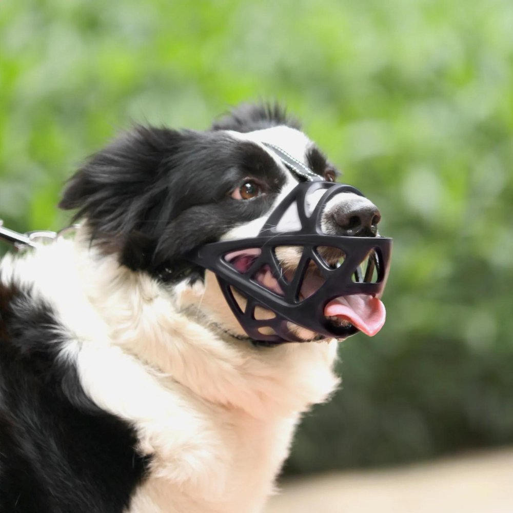 Soft Mesh Dog Muzzle – Breathable, Adjustable Muzzle to Prevent Biting and Chewing – for Walks, Training &amp; Vet Visits, S–XL