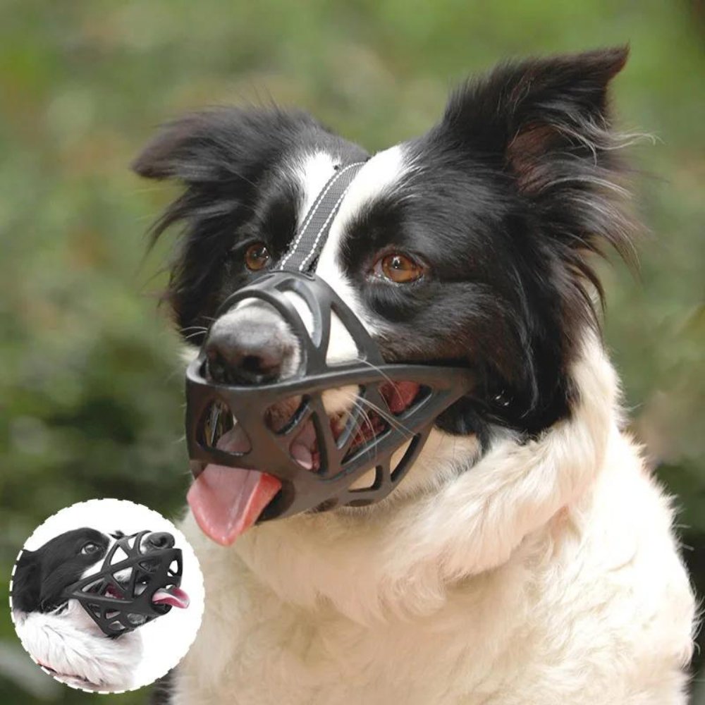 Soft Mesh Dog Muzzle – Breathable, Adjustable Muzzle to Prevent Biting and Chewing – for Walks, Training &amp; Vet Visits, S–XL